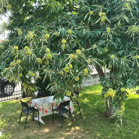 Casa vacanze Anna
