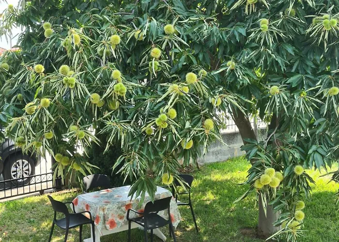 Case de vacanță Anna